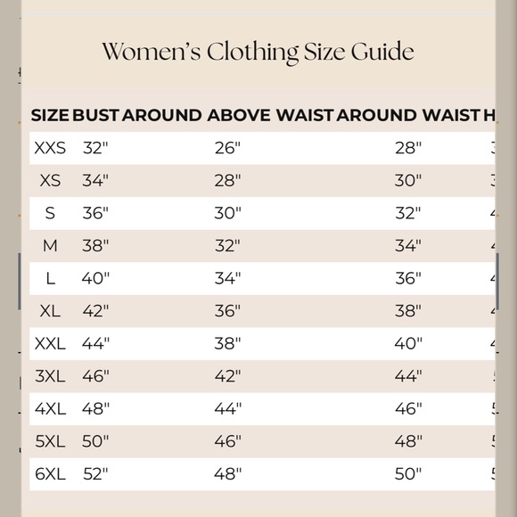 Dark Teal and Gold Embroidered Anarkali - Picture 3 of 3